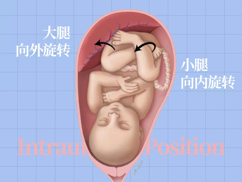 足底壓力分布計量