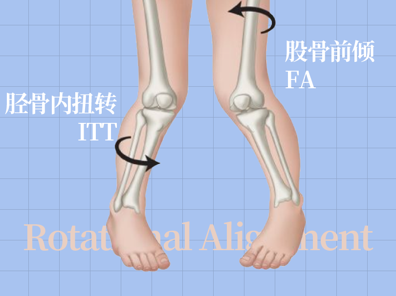 足底壓力分布計量